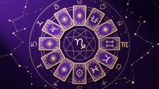 Explore 12 zodiac signs - Click to read this featured article with expert insights and tips.